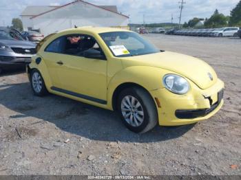  Salvage Volkswagen Beetle