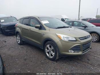  Salvage Ford Escape