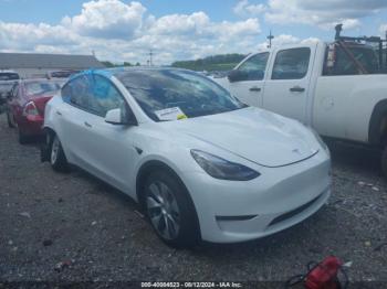  Salvage Tesla Model Y