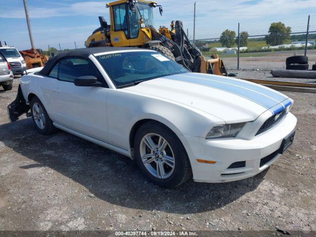  Salvage Ford Mustang