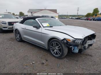  Salvage Ford Mustang