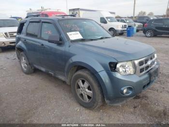  Salvage Ford Escape