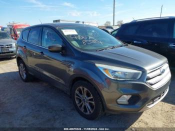  Salvage Ford Escape