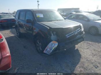  Salvage Honda Pilot