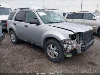  Salvage Ford Escape