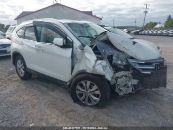  Salvage Honda CR-V