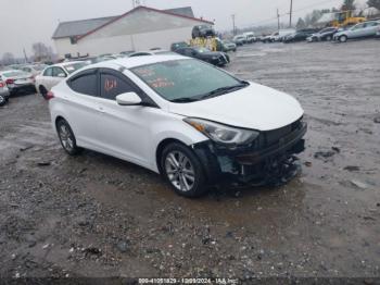  Salvage Hyundai ELANTRA