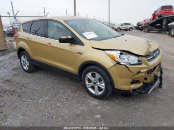  Salvage Ford Escape