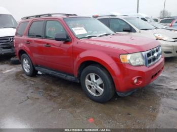  Salvage Ford Escape