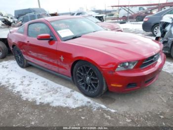  Salvage Ford Mustang