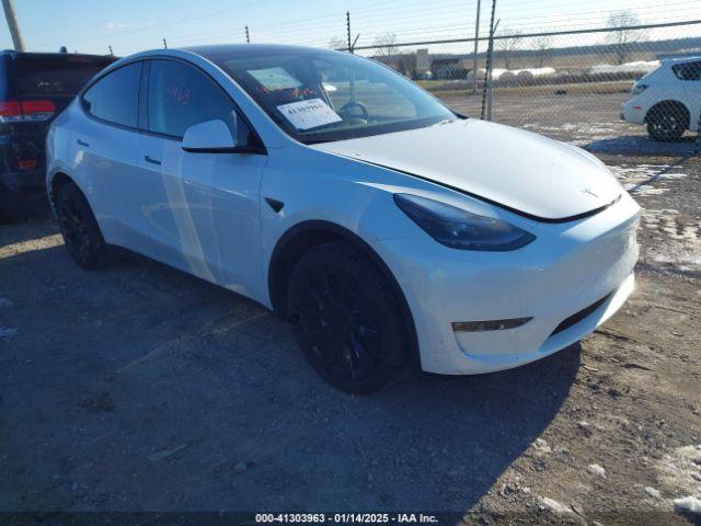  Salvage Tesla Model Y