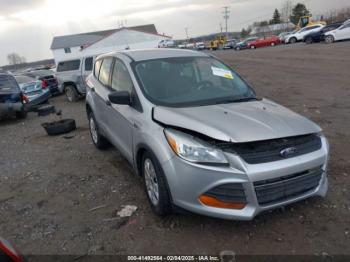  Salvage Ford Escape