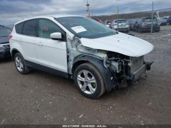  Salvage Ford Escape