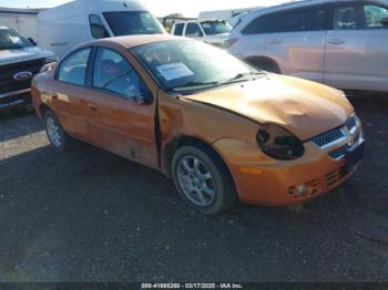  Salvage Dodge Neon