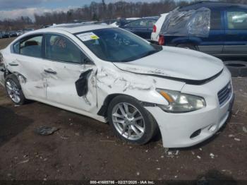  Salvage Nissan Maxima