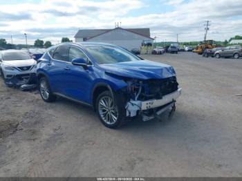  Salvage Lexus NX