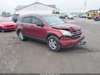  Salvage Honda CR-V