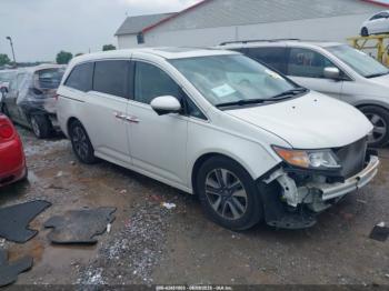  Salvage Honda Odyssey