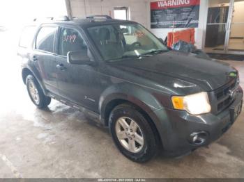  Salvage Ford Escape