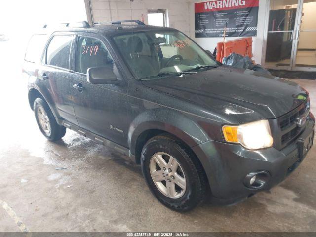  Salvage Ford Escape