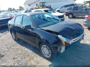  Salvage Ford Focus