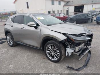  Salvage Lexus NX