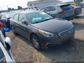  Salvage Hyundai SONATA