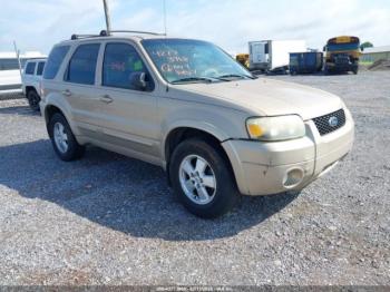  Salvage Ford Escape
