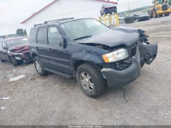  Salvage Ford Escape