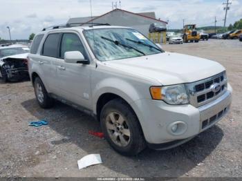  Salvage Ford Escape