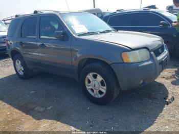  Salvage Ford Escape