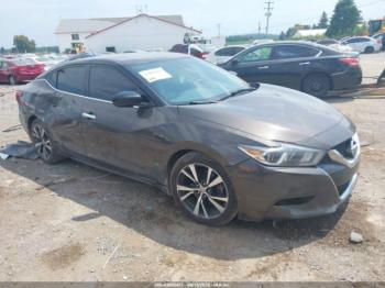  Salvage Nissan Maxima