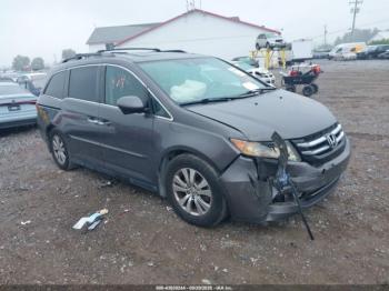  Salvage Honda Odyssey