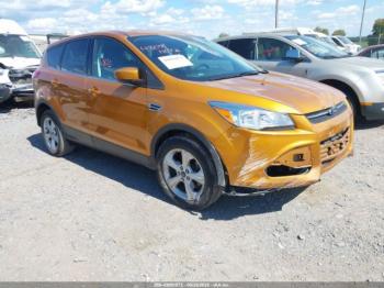  Salvage Ford Escape