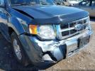 Ford Escape Limited Image 7