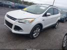 Ford Escape Sel Image 9