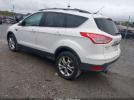 Ford Escape Sel Image 8