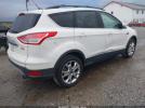 Ford Escape Sel Image 10