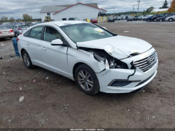  Salvage Hyundai SONATA