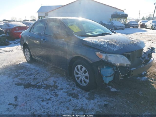 Toyota Corolla L Image 1