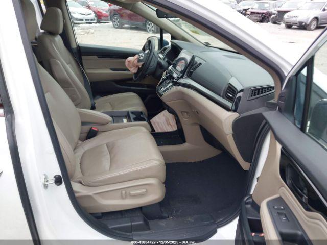 Honda Odyssey Elite Image 8